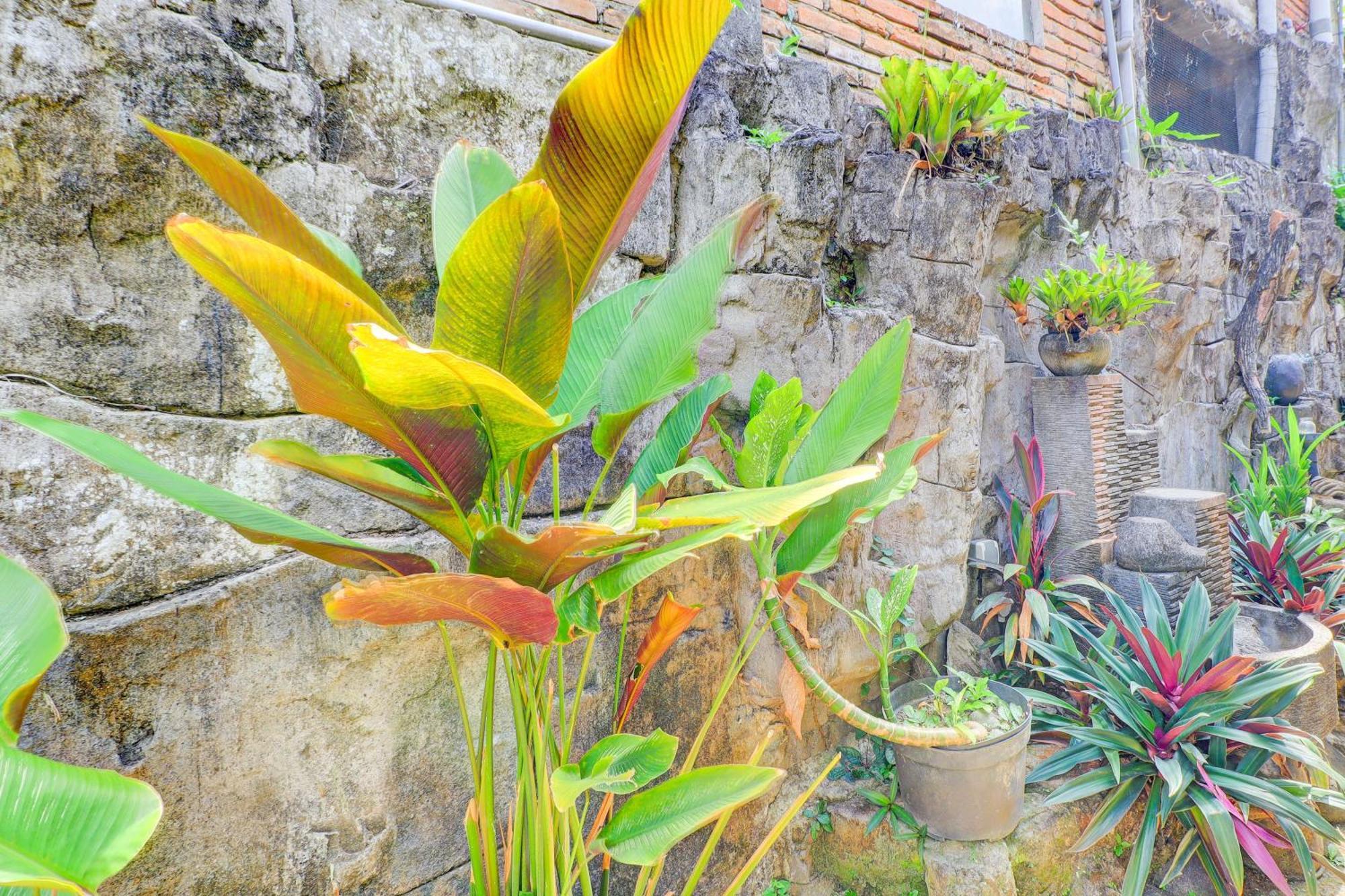Hotel O Ubud Asri Homestay Near Monkey Forest Buitenkant foto